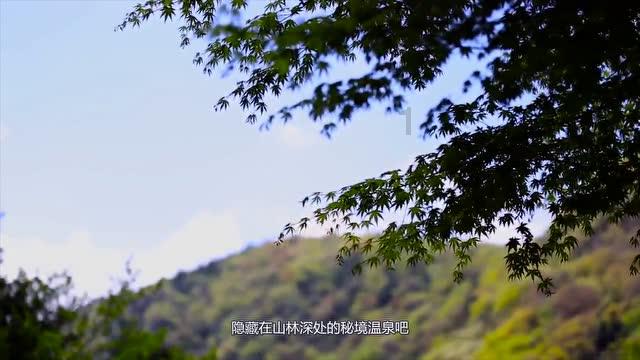 QQ炫舞